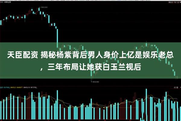 天臣配资 揭秘杨紫背后男人身价上亿是娱乐老总，三年布局让她获白玉兰视后